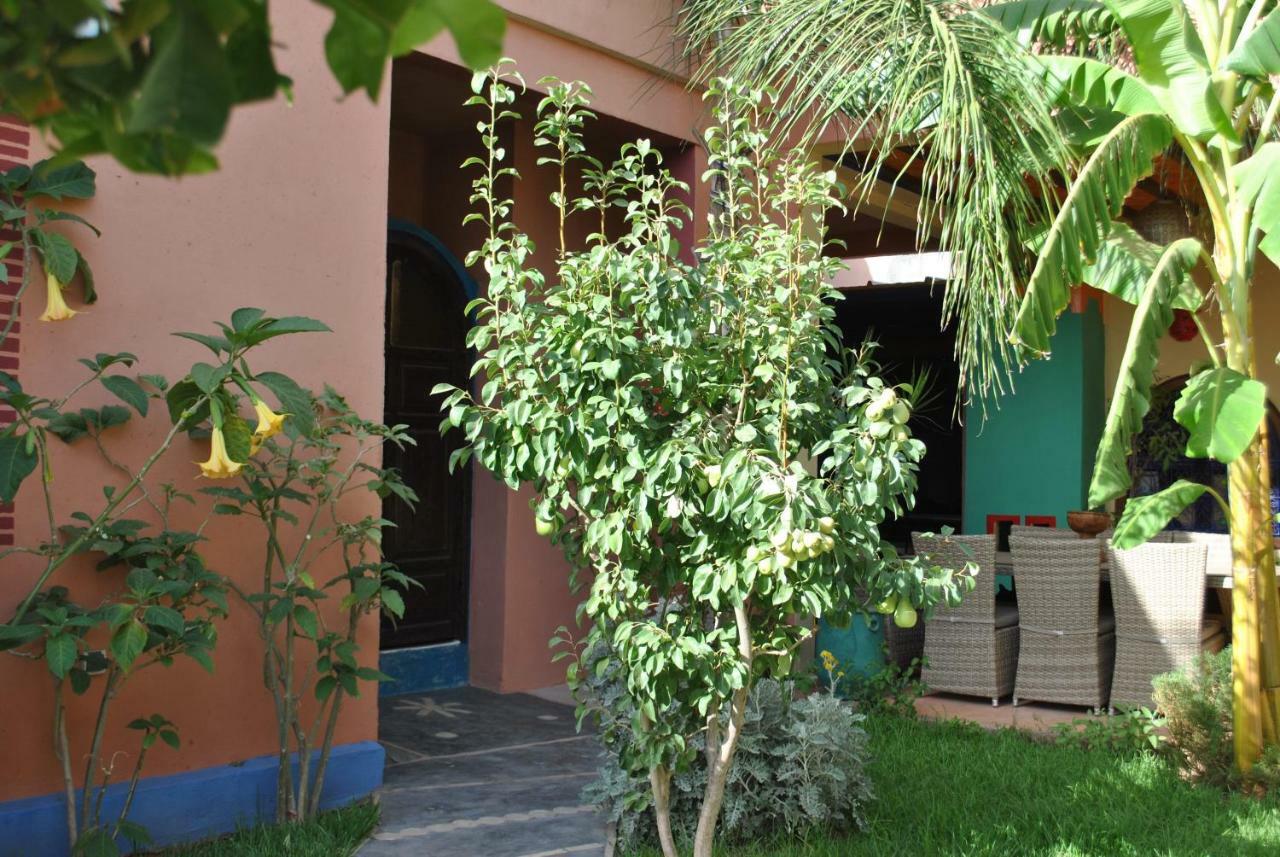 תהנאות Auberge Kasbah Darla מראה חיצוני תמונה