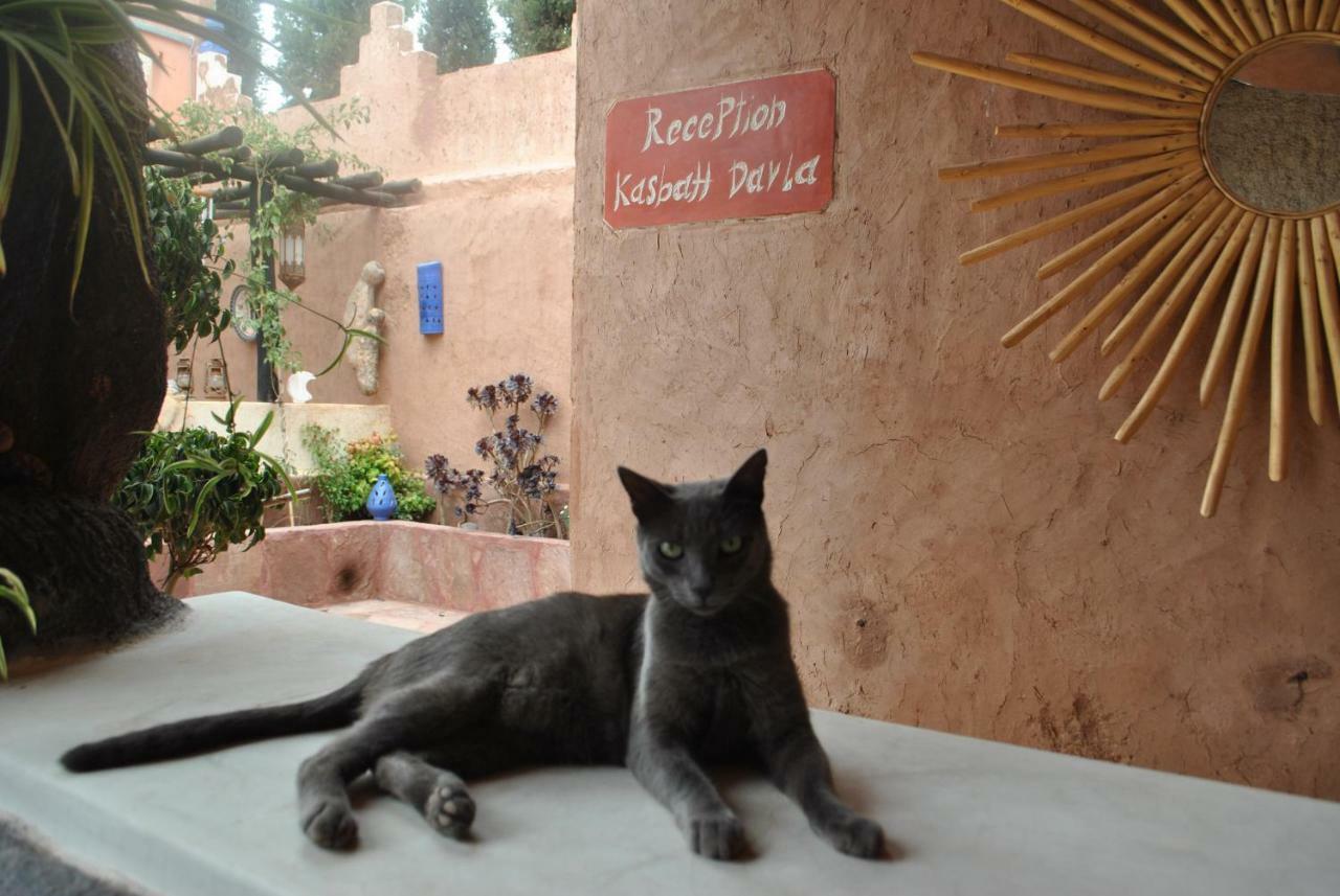 תהנאות Auberge Kasbah Darla מראה חיצוני תמונה