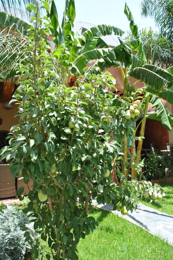 תהנאות Auberge Kasbah Darla מראה חיצוני תמונה